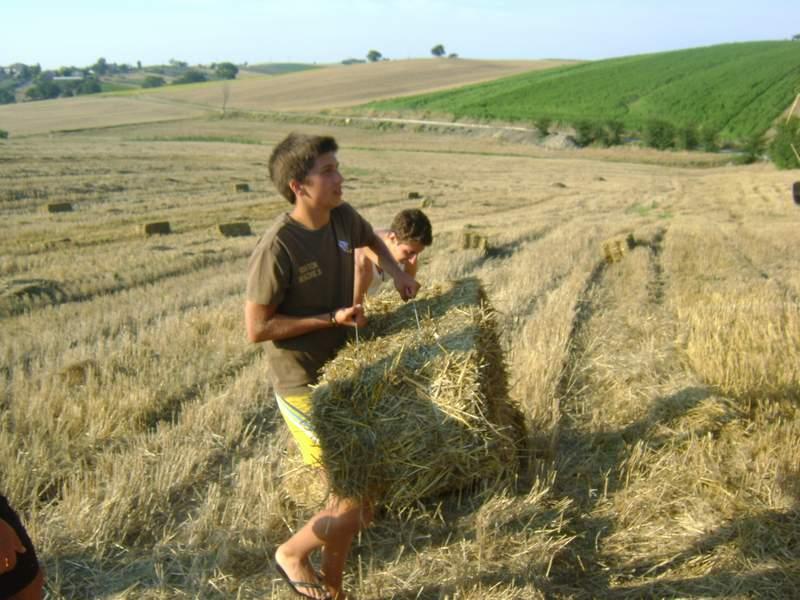 Preparazione campo (12).JPG